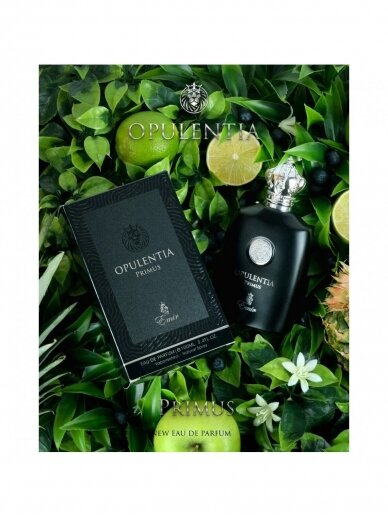 Arabskie perfumy Emir Opulentia Primus (Creed Aventus). 2