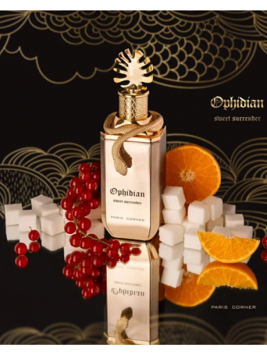 Paris Corner Ophidian Sweet Surrender