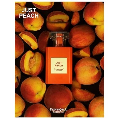 Pendora Scents Just Peach (Том Форд Биттер Персик) Арабский парфюм 1