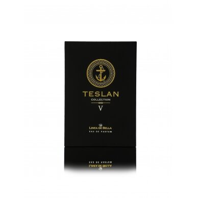 Teslan V 2