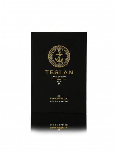 Teslan V 2